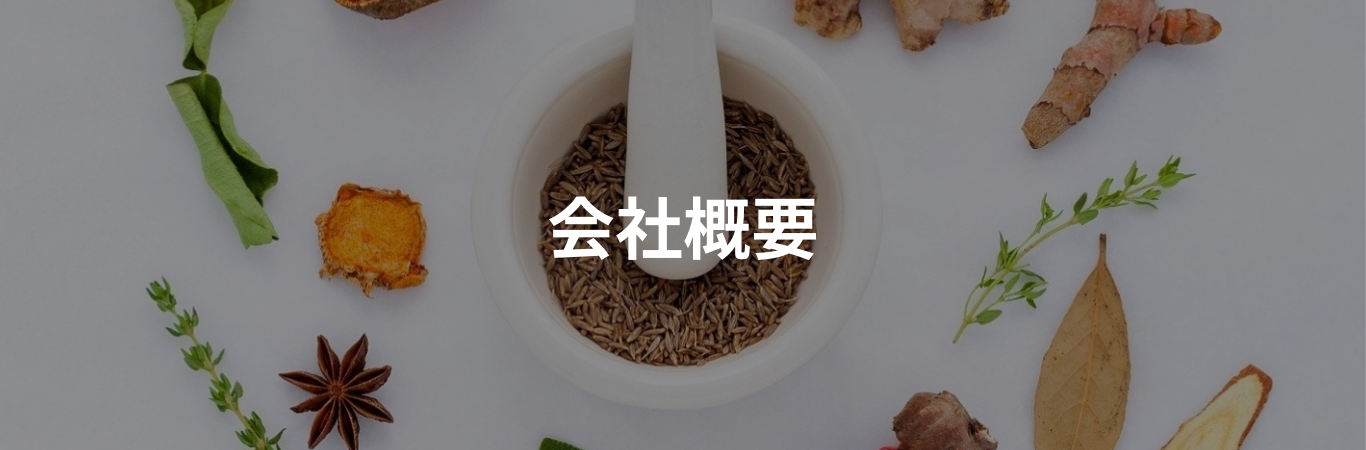 会社概要