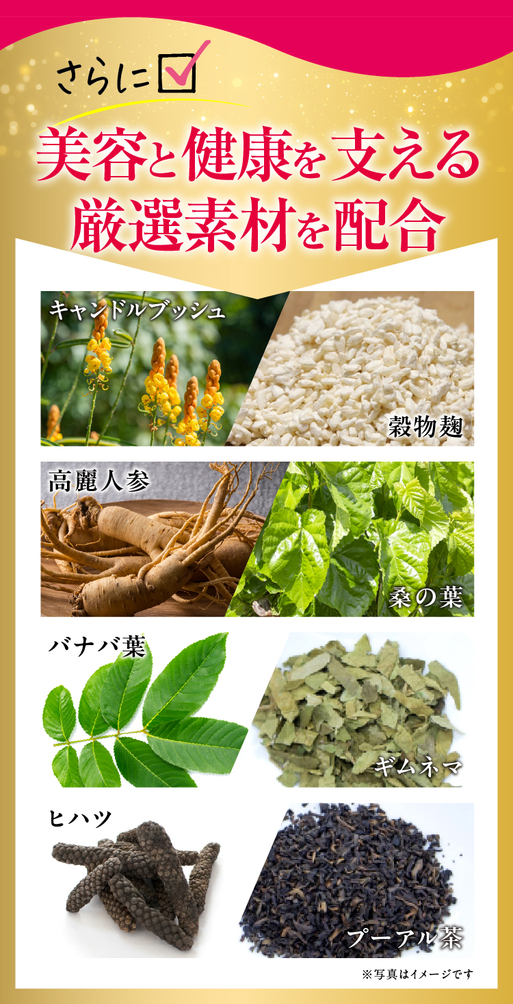 美容と健康を支える厳選素材