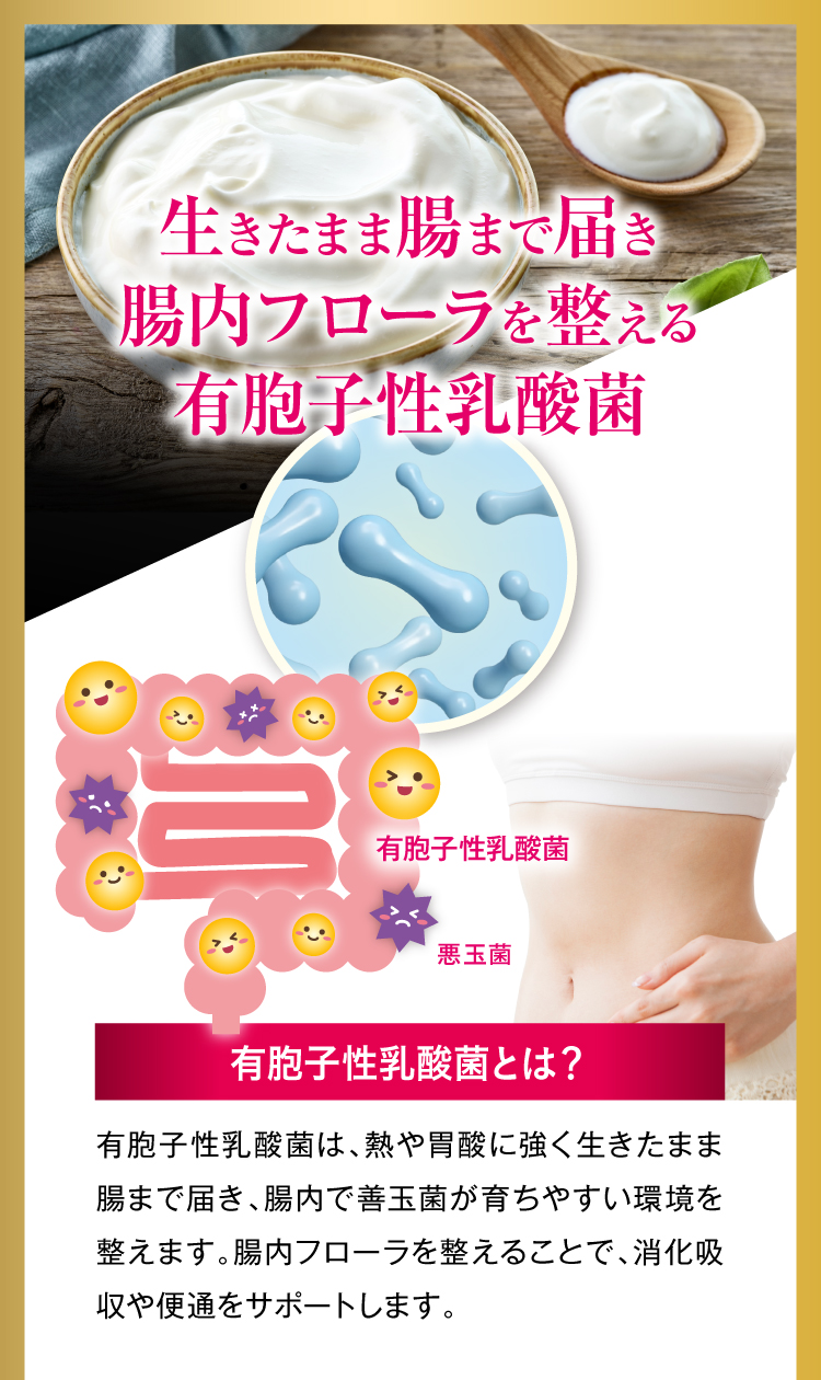 有胞子性乳酸菌