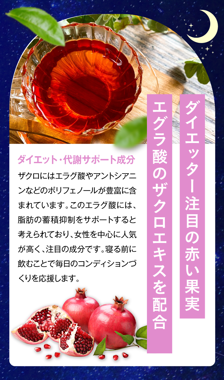 ダイエット・代謝サポート