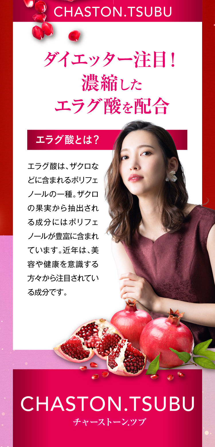 ダイエッター注目成分